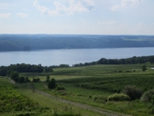 Finger Lakes Real Estate.