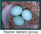 Feather Nesters